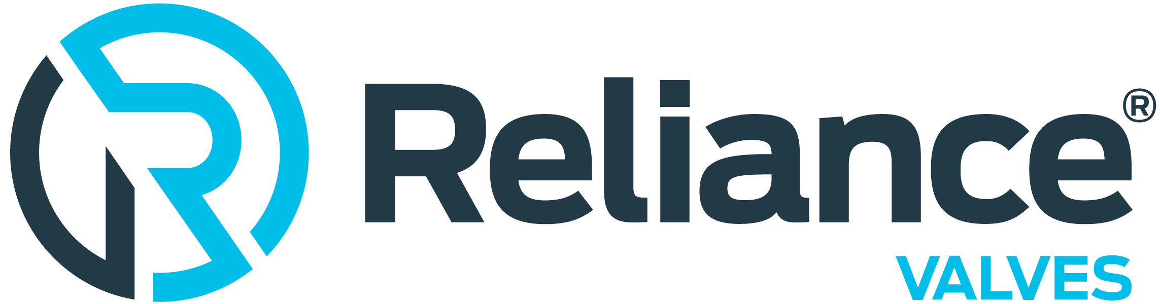 Reliance Valves Logo